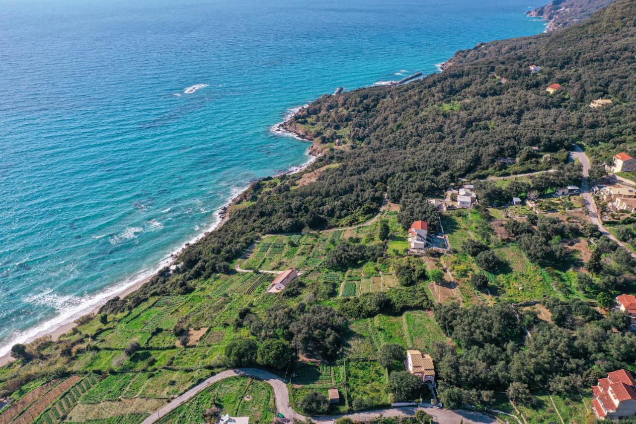 Amaryllis Seaview House By Guestcorfu Daire Paramonas  Dış mekan fotoğraf